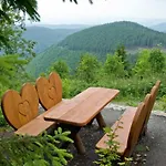 Harz-fewo-wolf 巴特哈尔茨堡