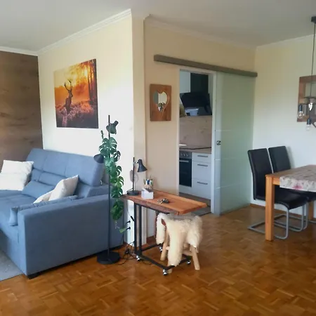 Apartment Harz-fewo-wolf