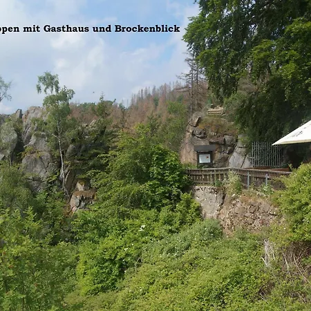 Harz-fewo-wolf Apartment *