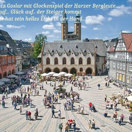 Harz-fewo-wolf * Bad Harzburg