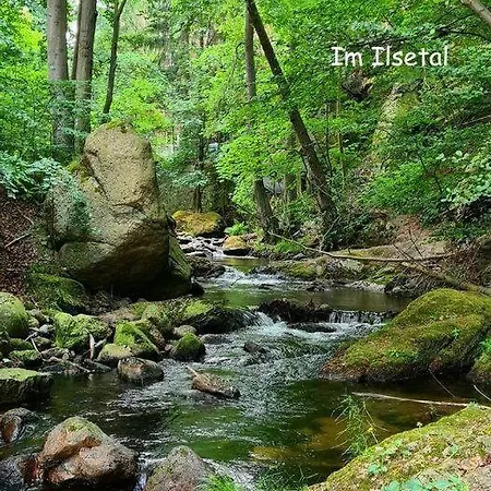 Lejlighed Harz-fewo-wolf