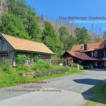Harz-fewo-wolf Apartment *