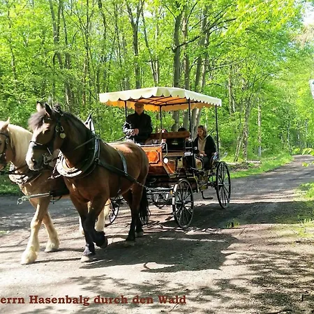Harz-fewo-wolf * Bad Harzburg