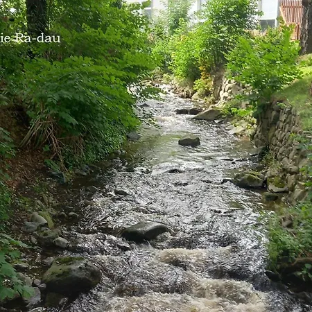 Apartamento Harz-fewo-wolf *