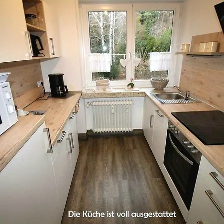 Harz-fewo-wolf Apartamento