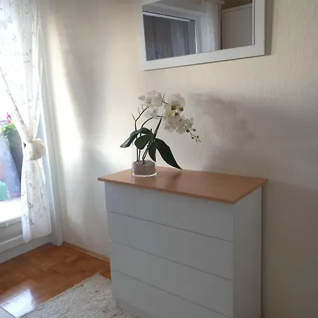 Apartamento Harz-fewo-wolf