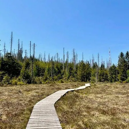 Harz-fewo-wolf Bad Harzburg