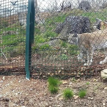 Harz-fewo-wolf Apartamento *