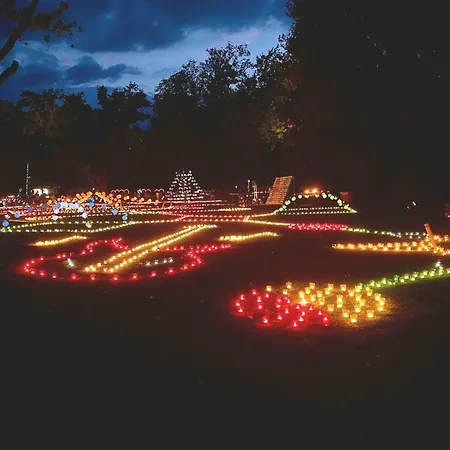 Apartamento Harz-fewo-wolf *