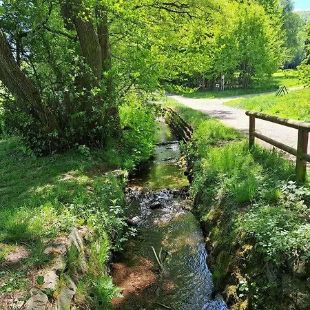 Apartamento Harz-fewo-wolf *