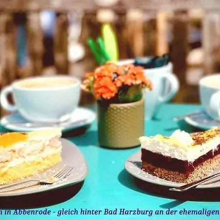 Apartamento Harz-fewo-wolf Bad Harzburg