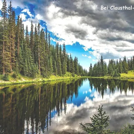 Apartamento Harz-fewo-wolf Bad Harzburg