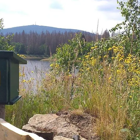 Apartamento Harz-fewo-wolf *