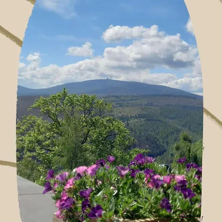 Harz-fewo-wolf Apartamento Bad Harzburg