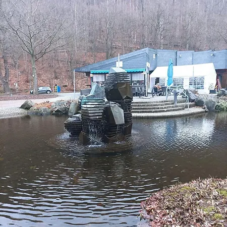 Apartamento Harz-fewo-wolf