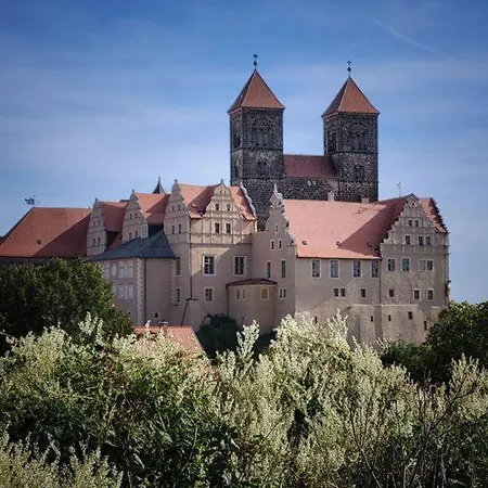 Harz-fewo-wolf * Bad Harzburg