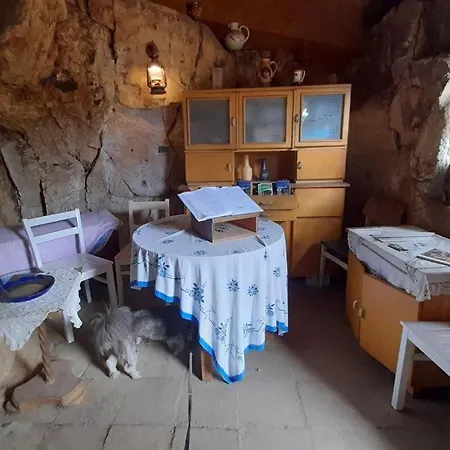 Harz-fewo-wolf * Bad Harzburg