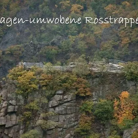 Apartmán Harz-fewo-wolf