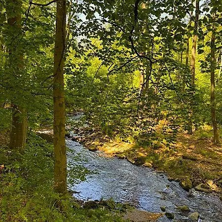 Harz-fewo-wolf Bad Harzburg