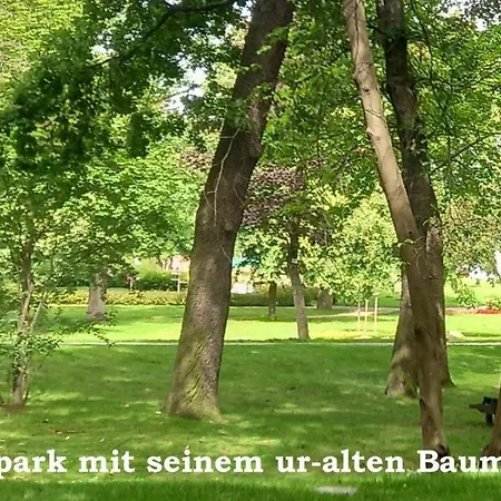 Apartmán Harz-fewo-wolf *