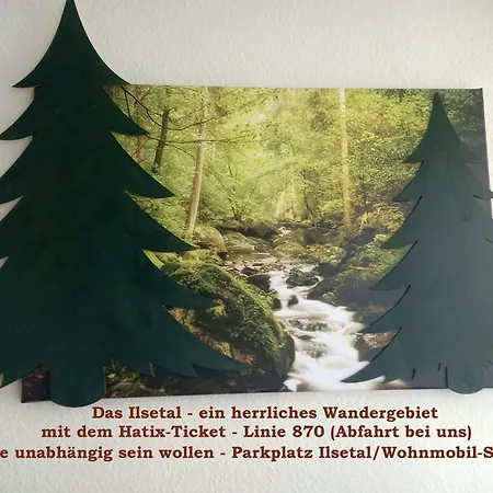Harz-fewo-wolf Appartement Bad Harzburg