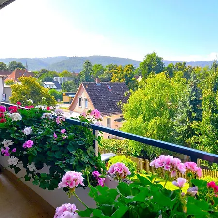 Harz-fewo-wolf Appartement *