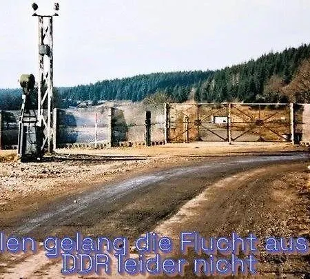 Harz-fewo-wolf *