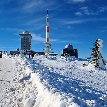 Harz-fewo-wolf
