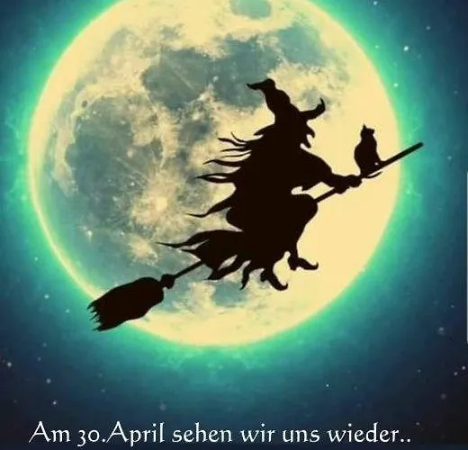 Harz-fewo-wolf Bad Harzburg