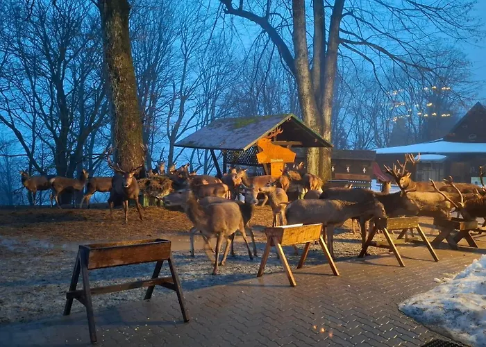 Διαμέρισμα Harz-fewo-wolf *