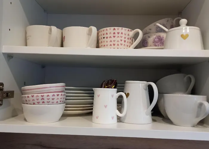 Harz-fewo-wolf * Bad Harzburg