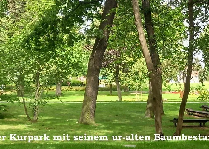 Harz-fewo-wolf Διαμέρισμα Bad Harzburg