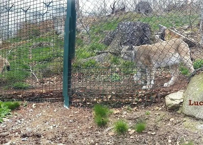 Harz-fewo-wolf Διαμέρισμα *