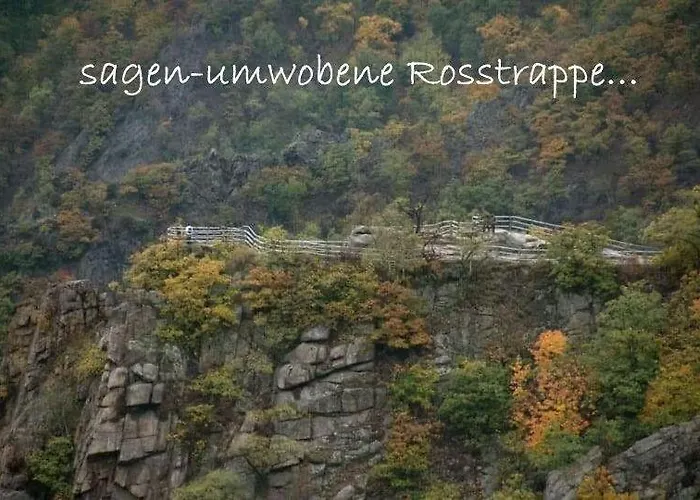 Harz-fewo-wolf * Bad Harzburg