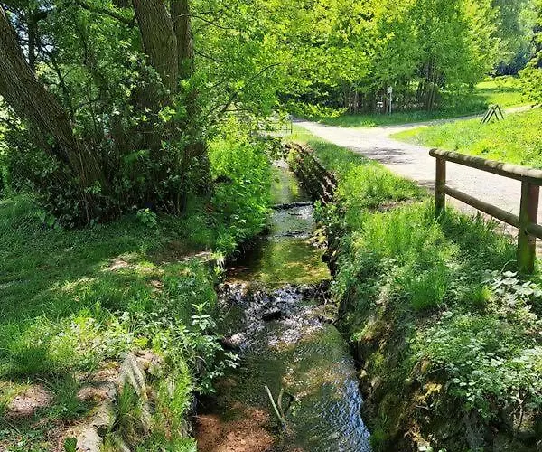 Διαμέρισμα Harz-fewo-wolf *