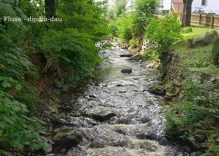 Harz-fewo-wolf * Bad Harzburg