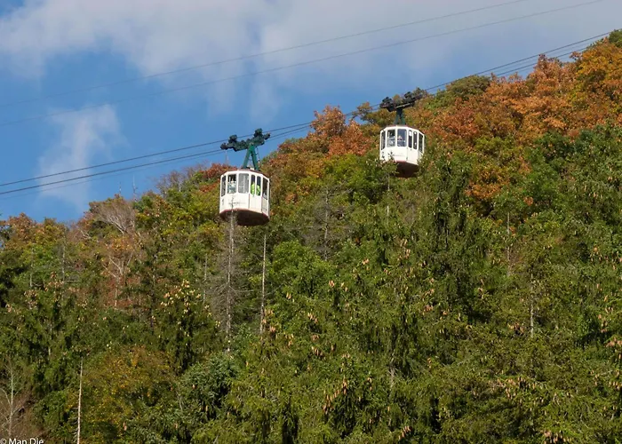 Harz-fewo-wolf Διαμέρισμα Bad Harzburg