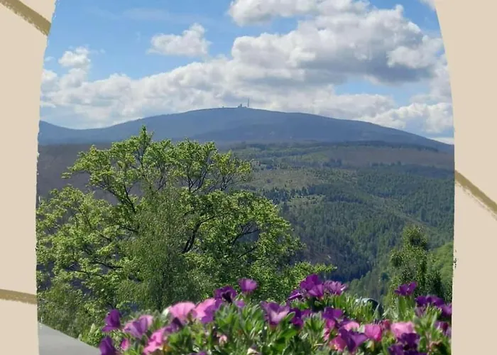 Harz-fewo-wolf Διαμέρισμα Bad Harzburg