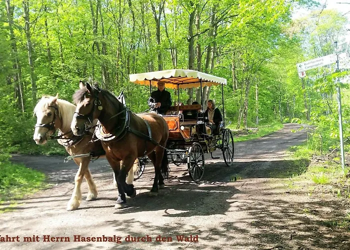 Διαμέρισμα Harz-fewo-wolf Bad Harzburg