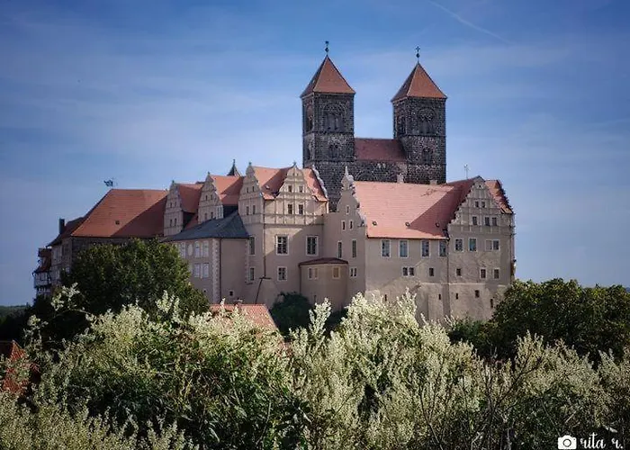 Harz-fewo-wolf * Bad Harzburg