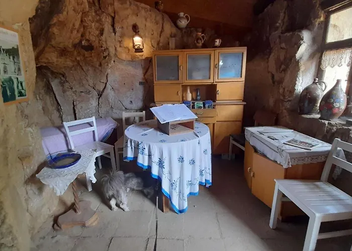 Harz-fewo-wolf * Bad Harzburg